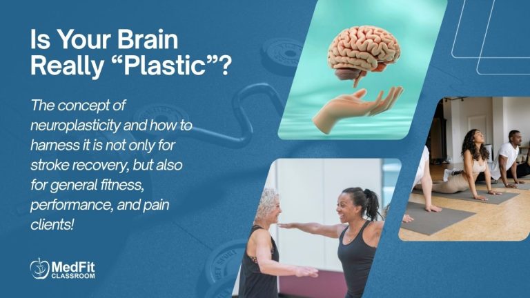 Read more about the article Is Your Brain Really “Plastic”?