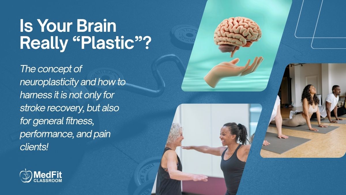 You are currently viewing Is Your Brain Really “Plastic”?