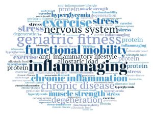 Read more about the article Inflammaging: The Link Between Sarcopenia and Cognitive Decline