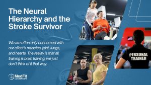 Read more about the article The Neural Hierarchy and the Stroke Survivor