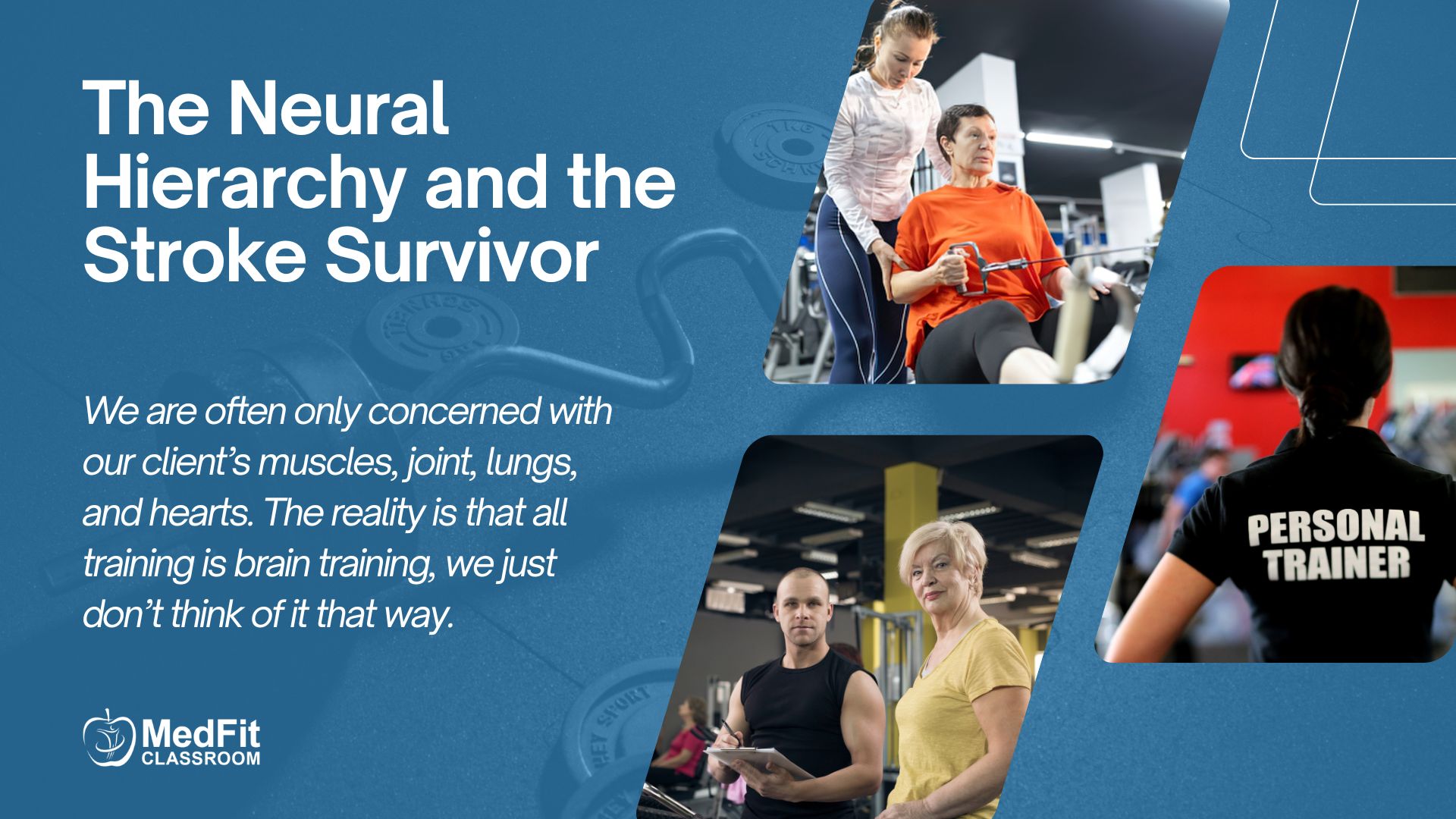 Read more about the article The Neural Hierarchy and the Stroke Survivor