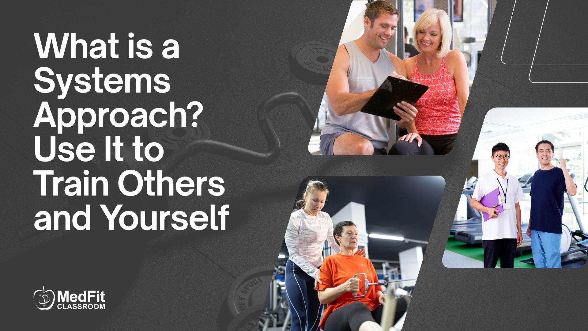 Read more about the article What is a Systems Approach? Use It to Train Others and Yourself 